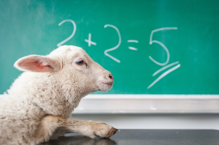 Designfehler Webdesign Sheep school board